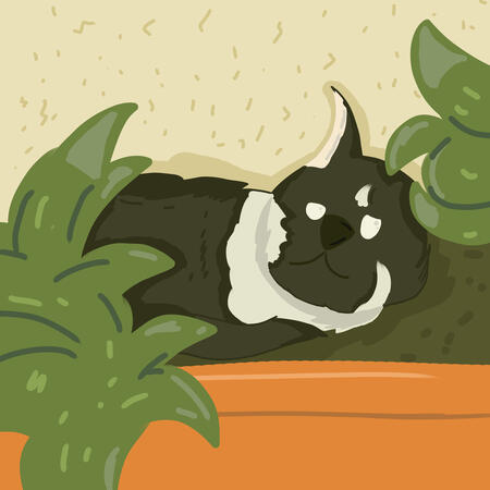 O primeiro desenho do gato, 2024.